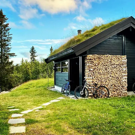 Upgraded Family At Sangefjell Prázdninový dům