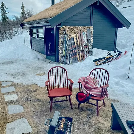 Upgraded Family At Sangefjell Ål