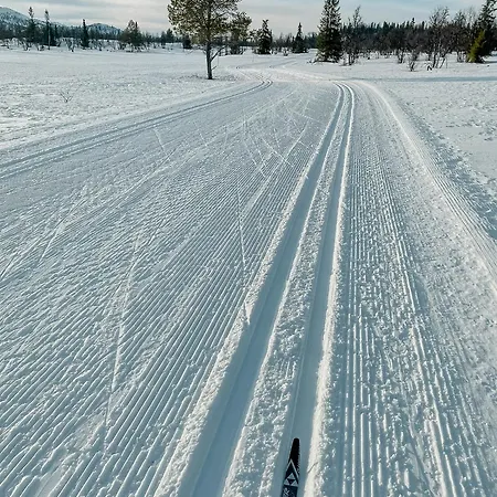 Vakantiehuis Upgraded Family At Sangefjell Ål