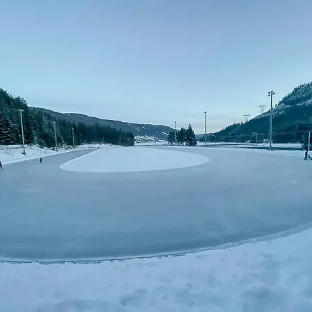 Casa de Férias Upgraded Family At Sangefjell Ål