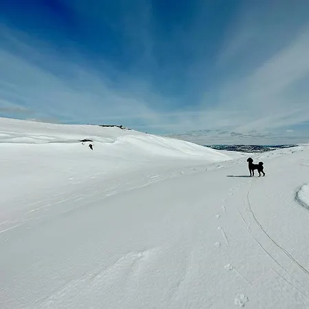 Upgraded Family At Sangefjell *