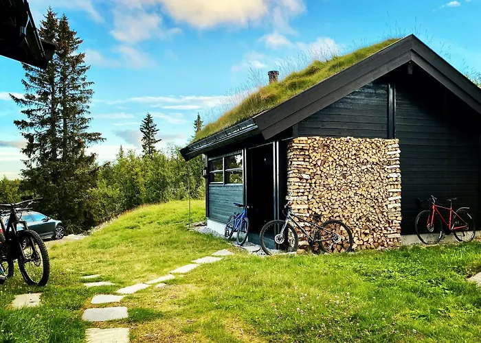 Upgraded Family At Sangefjell Hébergement de vacances