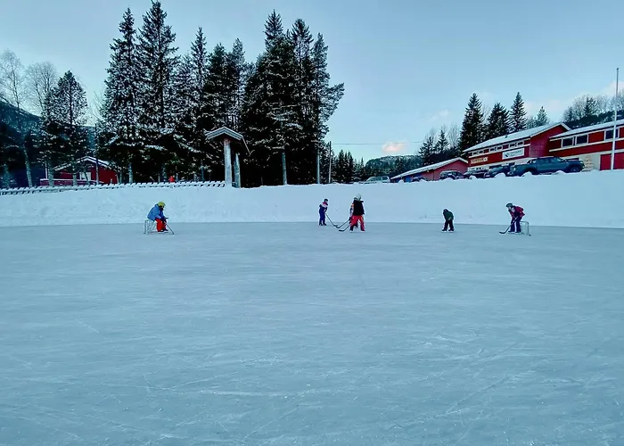 Hébergement de vacances Upgraded Family At Sangefjell *