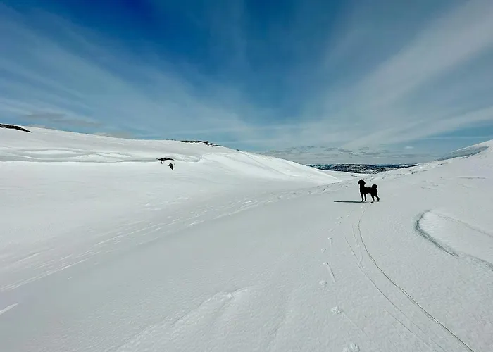 Upgraded Family At Sangefjell *